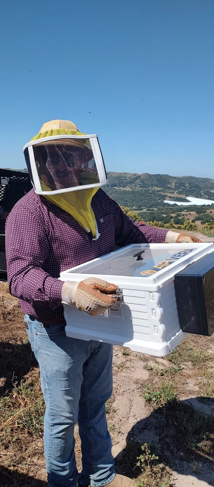 Beekeeper holding ApiVera fogger